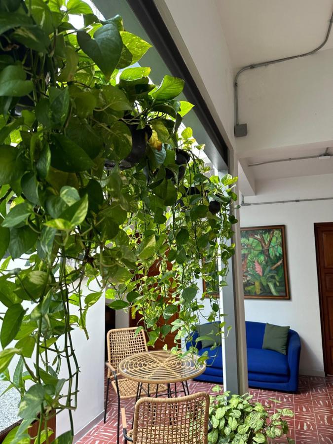 Hotel Boutique Casa Degollado كوليما المظهر الخارجي الصورة