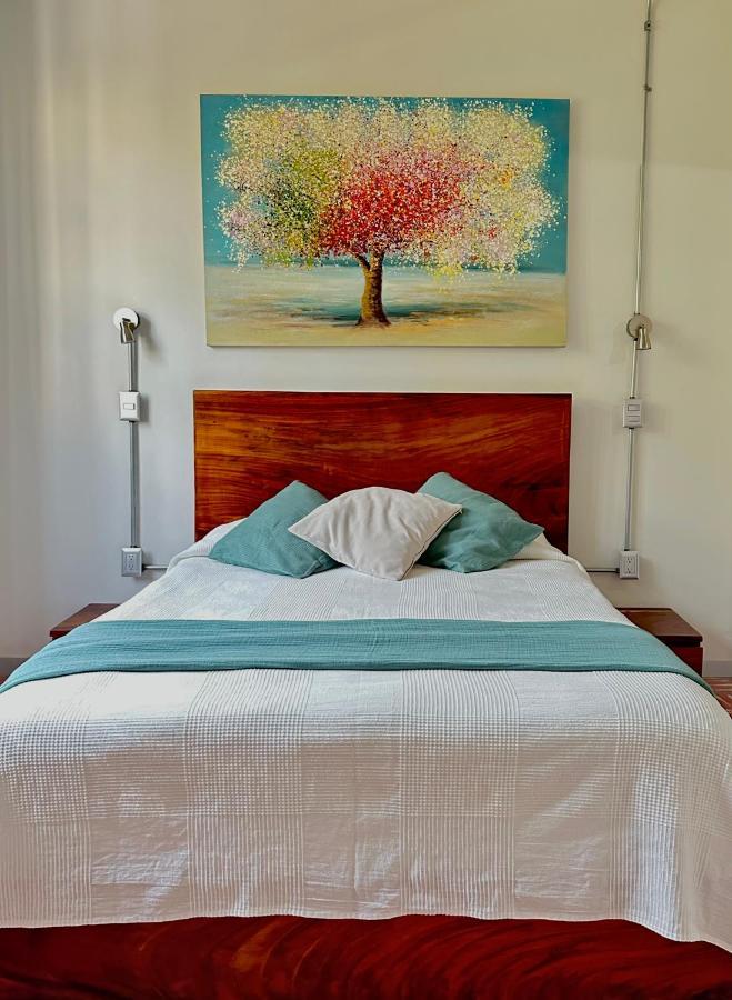 Hotel Boutique Casa Degollado كوليما المظهر الخارجي الصورة