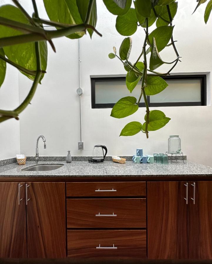 Hotel Boutique Casa Degollado كوليما المظهر الخارجي الصورة